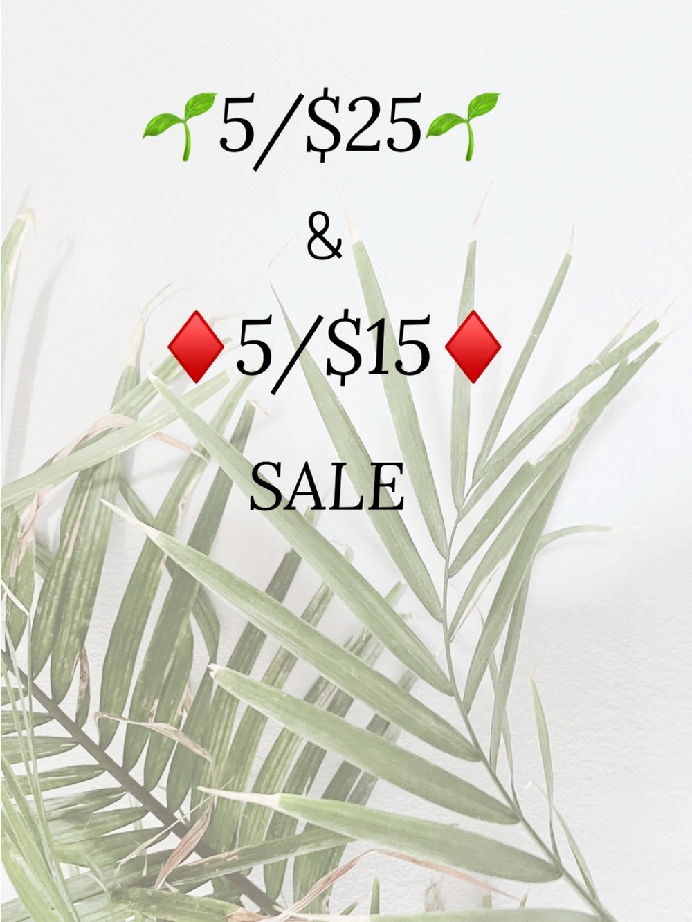 🌱5/$25🌱sale & ♦️5/$15♦️sale —Bundle 5 marked listings, get them discounted!